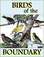 Birds of the Boundary