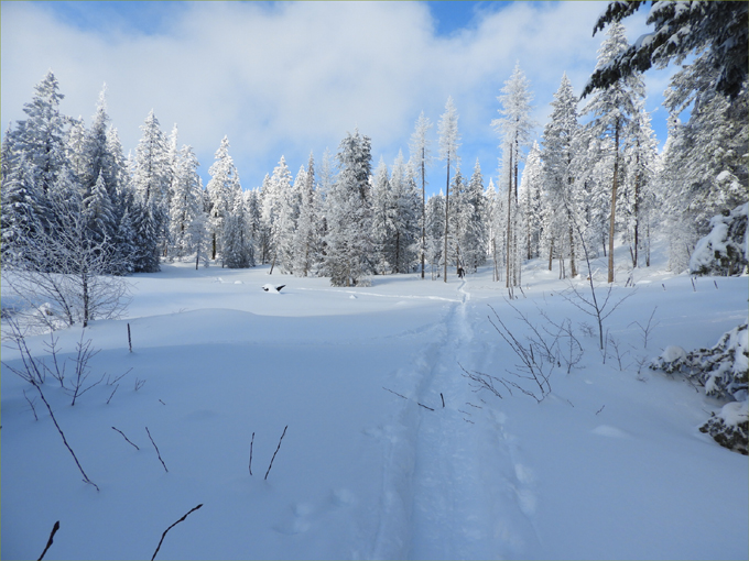 Marshall Lake to Dacha Cabin