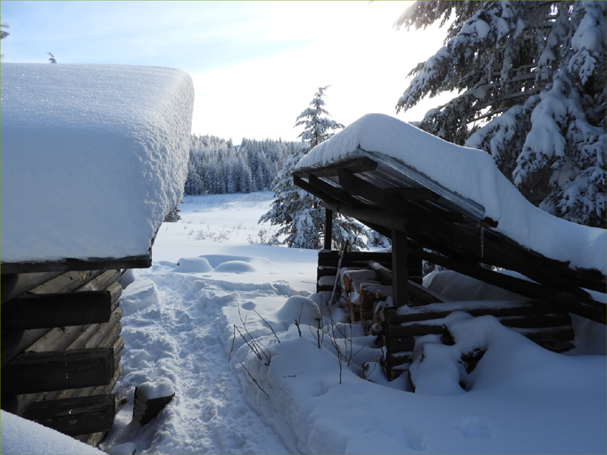 Marshall Lake to Dacha Cabin