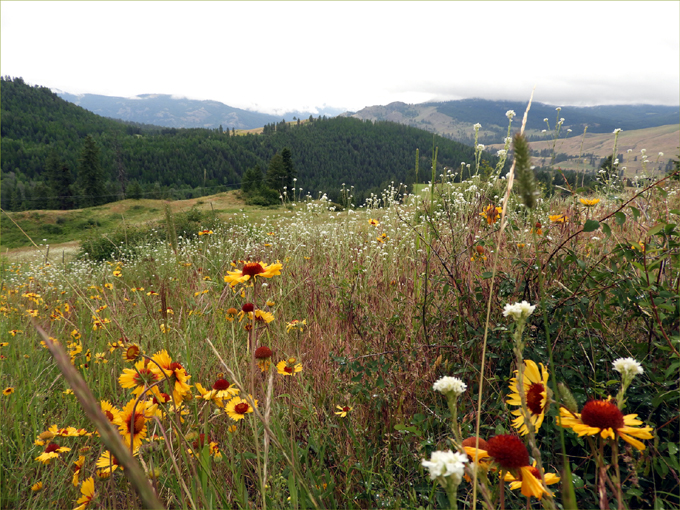 Trans Canada Trail, Eholt to Greenwood BC