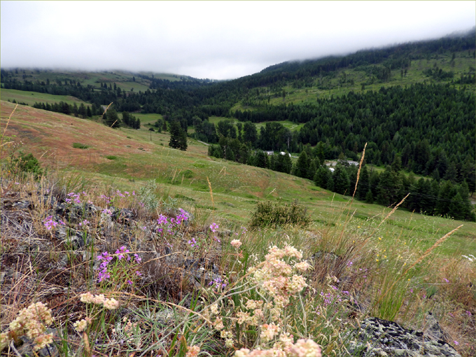 Trans Canada Trail, Eholt to Greenwood BC