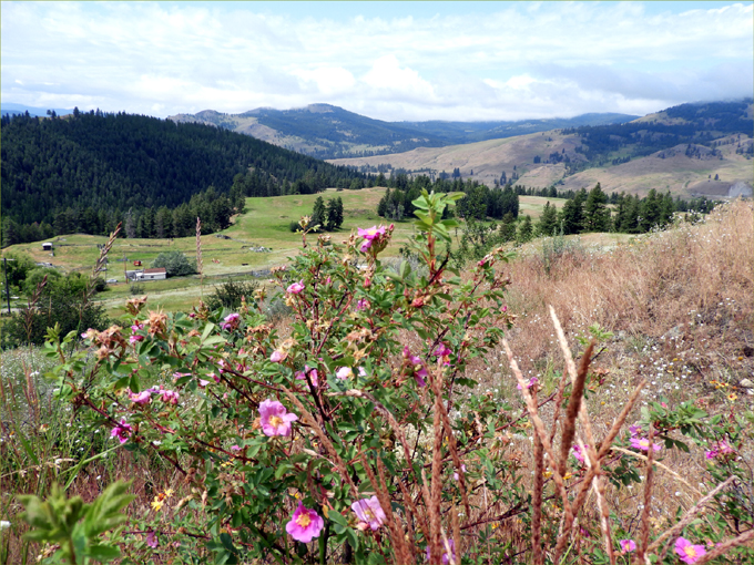 Trans Canada Trail, Eholt to Greenwood BC