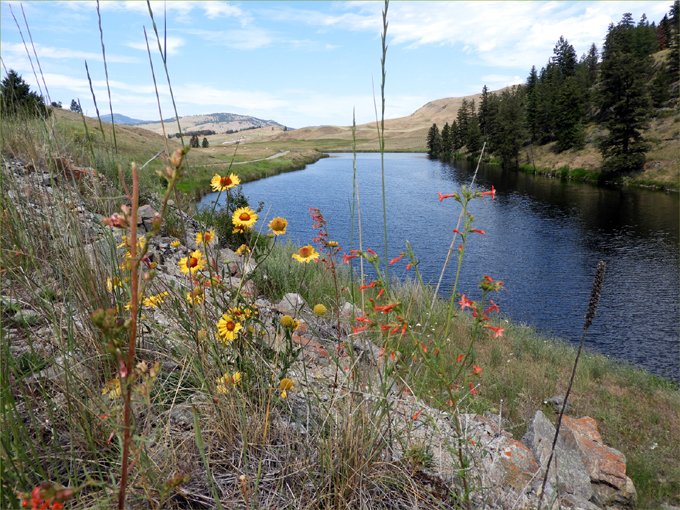 Myer's Wetlands Hike