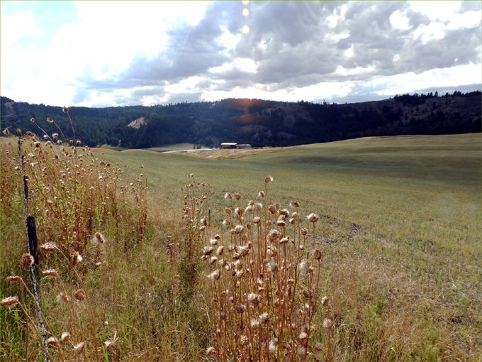 Myer's Wetlands Hike