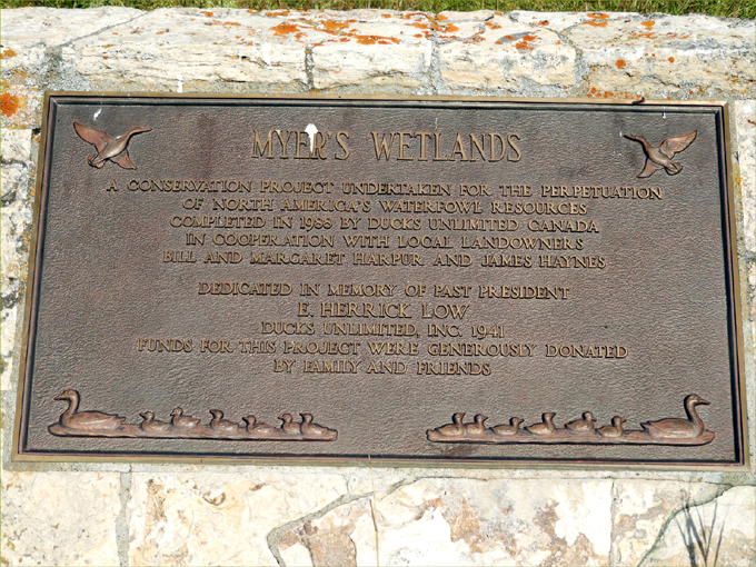 Myer's Wetlands Hike