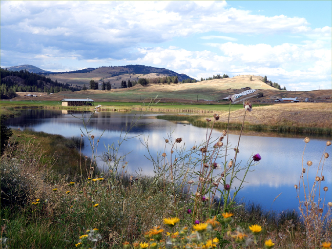 Myer's Wetlands Hike