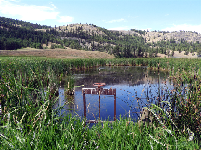 Myer's Wetlands Hike