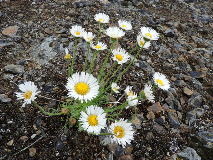 Hint of Spring