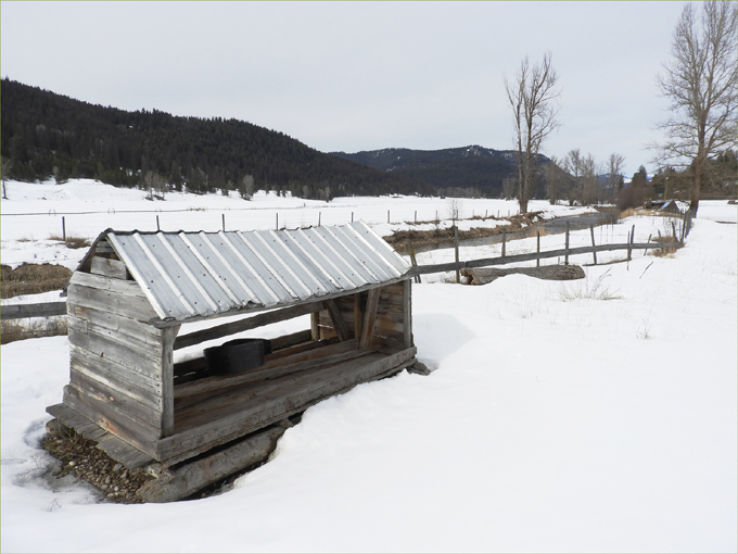 Cox Family Ranch