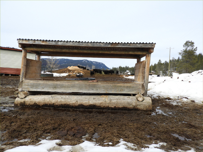Cox Family Ranch