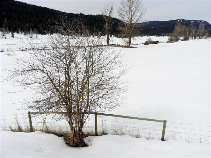 Cox Family Ranch