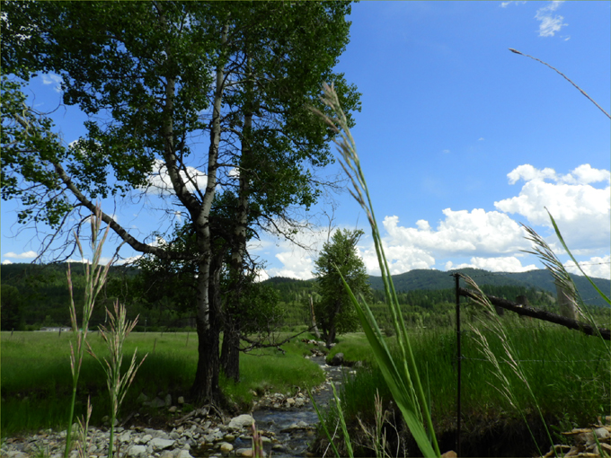 Winter Ranch, Boundary Valley