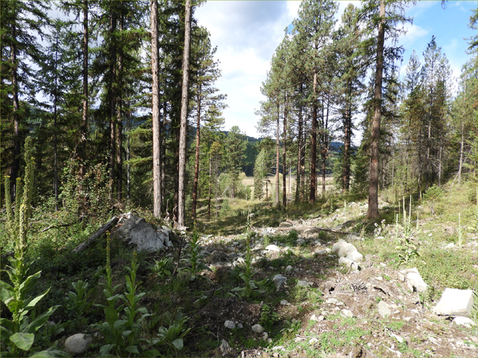 Buckhorn Ridge