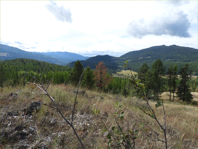 Buckhorn Ridge