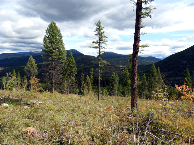 Buckhorn Ridge