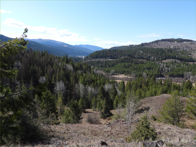 Deer Mountain