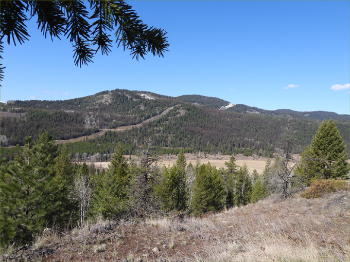 Deer Mountain