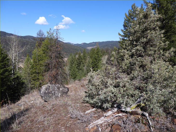 Deer Mountain