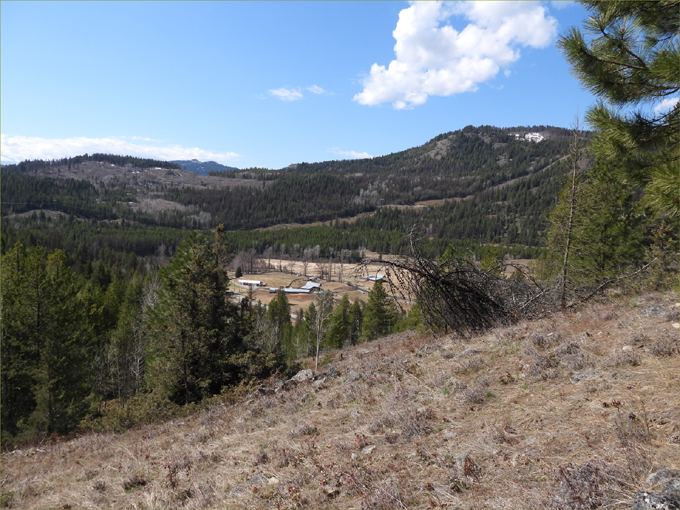 Deer Mountain