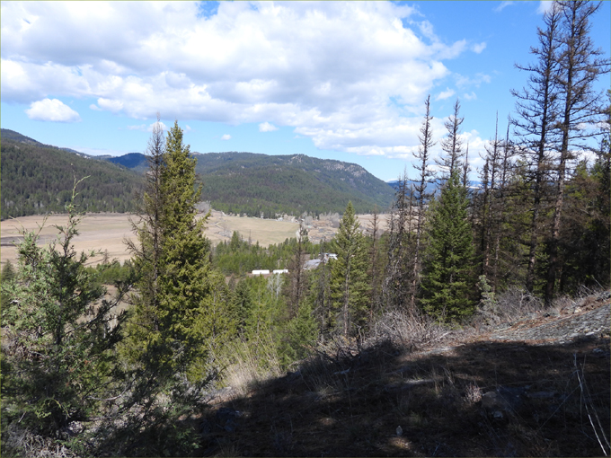 Deer Mountain