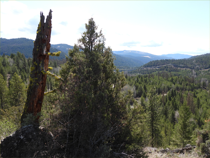 Deer Mountain