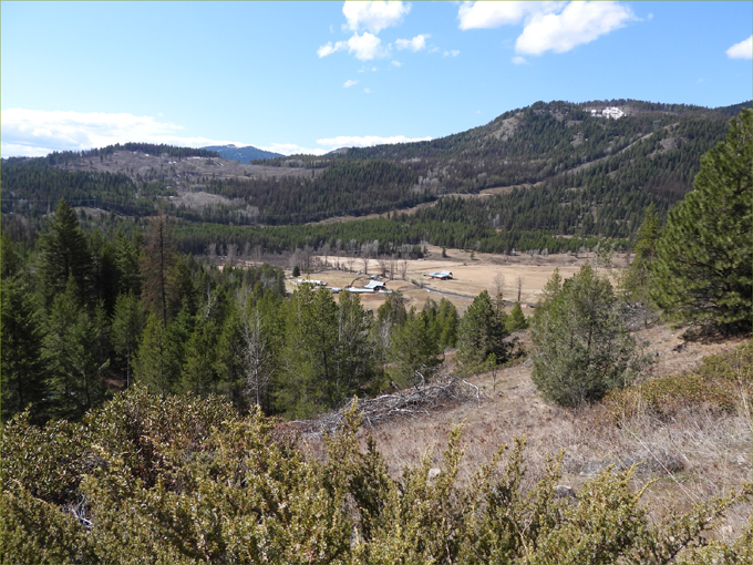 Deer Mountain