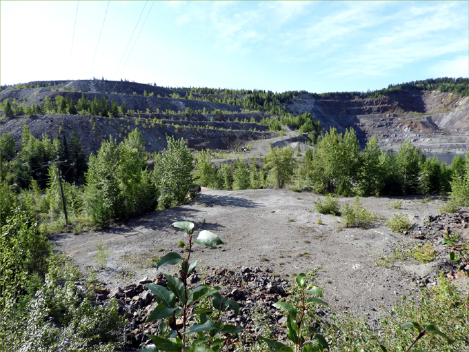 Phoenix Mountain