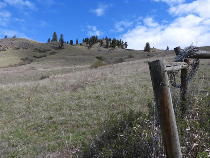 Ingram Mountain