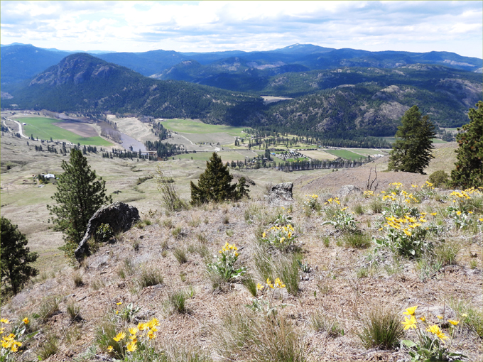Ingram Mountain