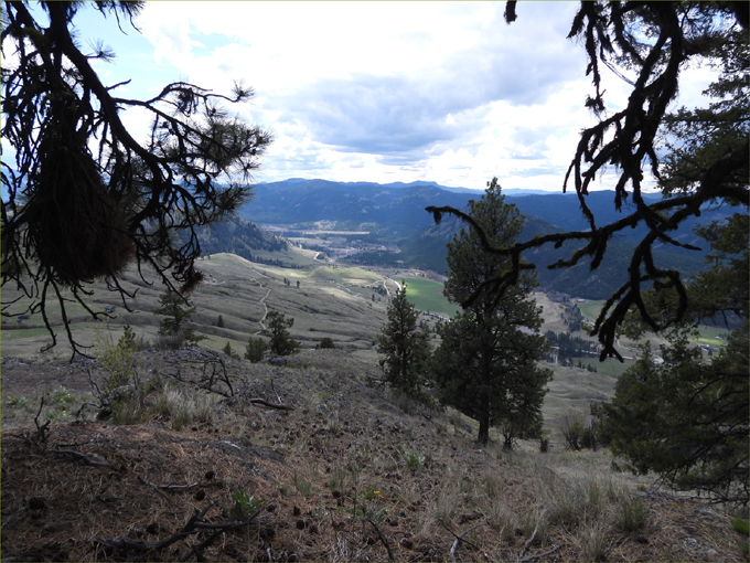 Ingram Mountain