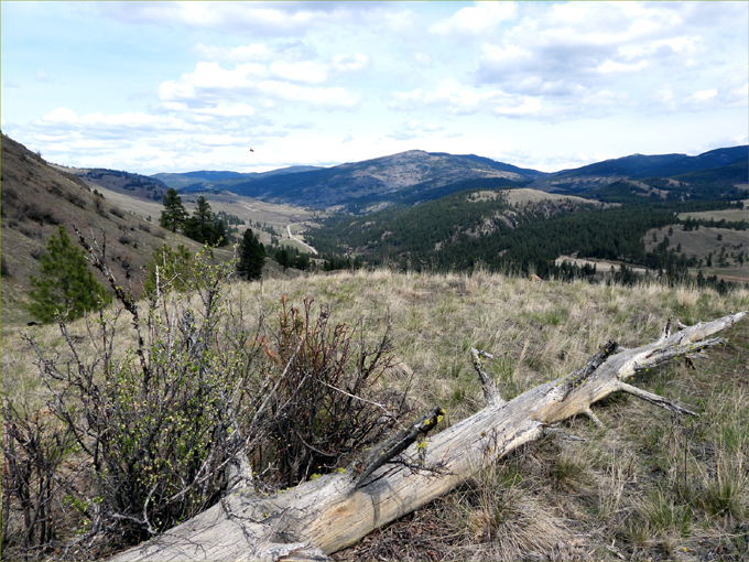 Midway, B.C.